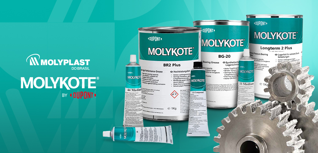Graxa Molykote